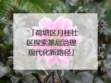 荷塘区月桂社区探索基层治理现代化新路径