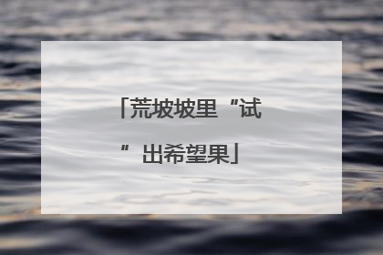 荒坡坡里“试”出希望果