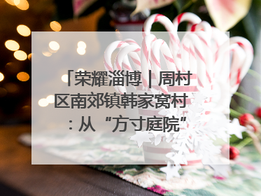 荣耀淄博｜周村区南郊镇韩家窝村：从“方寸庭院”到“全域文明”，乡村振兴的“美学革命”