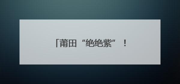 莆田“绝绝紫”！五月限定浪漫！