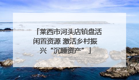 莱西市河头店镇盘活闲置资源 激活乡村振兴“沉睡资产”