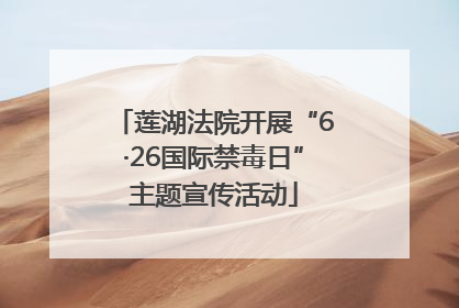 莲湖法院开展“6·26国际禁毒日”主题宣传活动