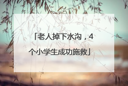 老人掉下水沟，4个小学生成功施救