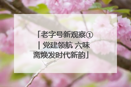 老字号新观察①｜党建领航 六味斋焕发时代新韵