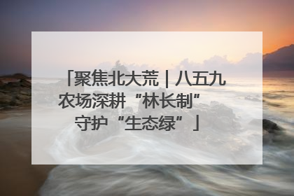 聚焦北大荒｜八五九农场深耕“林长制” 守护“生态绿”
