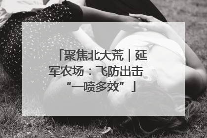 聚焦北大荒｜延军农场：飞防出击 “一喷多效”