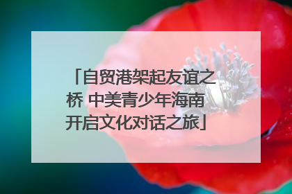 自贸港架起友谊之桥 中美青少年海南开启文化对话之旅