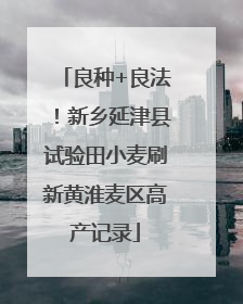 良种+良法！新乡延津县试验田小麦刷新黄淮麦区高产记录