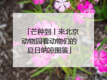 芒种到丨来北京动物园看动物们的夏日纳凉图鉴