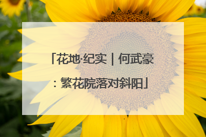花地·纪实｜何武豪：繁花院落对斜阳