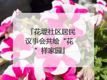 花堤社区居民议事会共绘“花”样家园