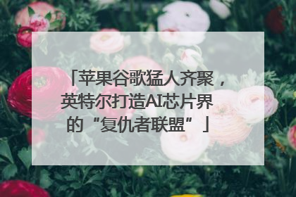 苹果谷歌猛人齐聚，英特尔打造AI芯片界的“复仇者联盟”