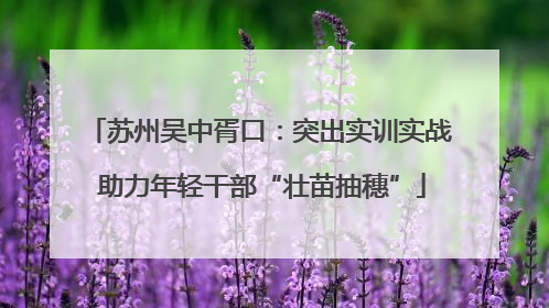 苏州吴中胥口：突出实训实战 助力年轻干部“壮苗抽穗”