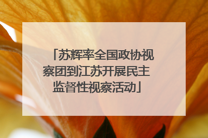 苏辉率全国政协视察团到江苏开展民主监督性视察活动