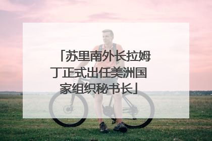 苏里南外长拉姆丁正式出任美洲国家组织秘书长