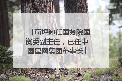 苟坪卸任国务院国资委副主任，已任中国星网集团董事长