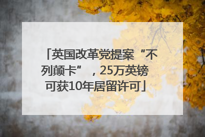 英国改革党提案“不列颠卡”，25万英镑可获10年居留许可