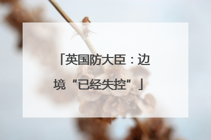 英国防大臣：边境“已经失控”