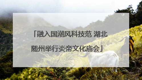 融入国潮风科技范 湖北随州举行炎帝文化庙会
