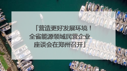 营造更好发展环境！全省能源领域民营企业座谈会在郑州召开