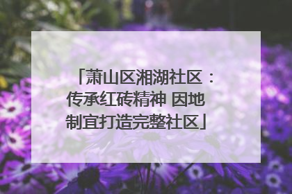 萧山区湘湖社区：传承红砖精神 因地制宜打造完整社区