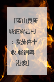 蓝山县所城镇舜岩村：紫茄喜丰收 畅销粤港澳