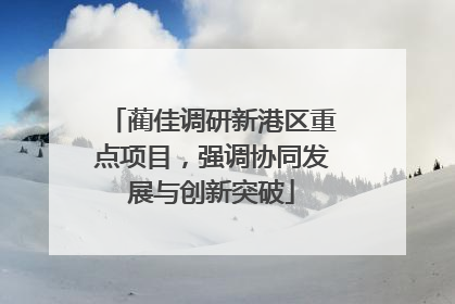 蔺佳调研新港区重点项目，强调协同发展与创新突破