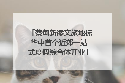 蔡甸新添文旅地标 华中首个近郊一站式度假综合体开业