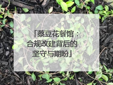 蔡豆花餐馆：合规改建背后的坚守与期盼