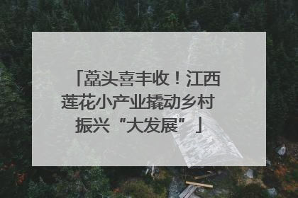 藠头喜丰收！江西莲花小产业撬动乡村振兴“大发展”