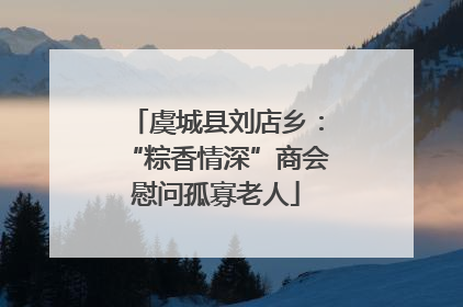 虞城县刘店乡：“粽香情深”商会慰问孤寡老人