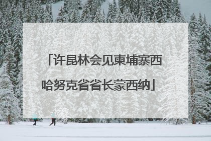 许昆林会见柬埔寨西哈努克省省长蒙西纳