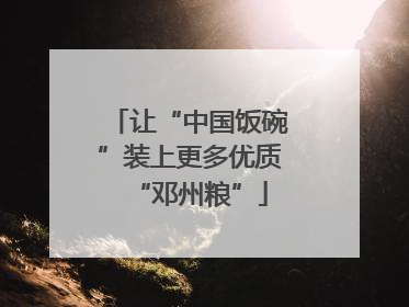 让“中国饭碗”装上更多优质“邓州粮”