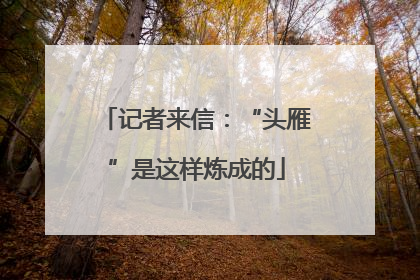 记者来信：“头雁”是这样炼成的