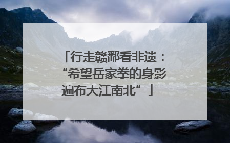 行走赣鄱看非遗：“希望岳家拳的身影遍布大江南北”