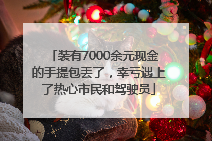 装有7000余元现金的手提包丢了，幸亏遇上了热心市民和驾驶员