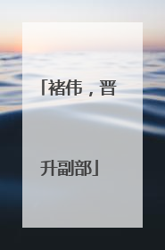 褚伟，晋升副部