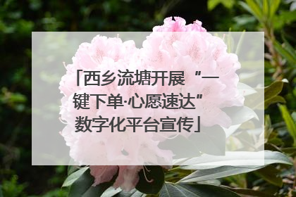 西乡流塘开展“一键下单·心愿速达”数字化平台宣传