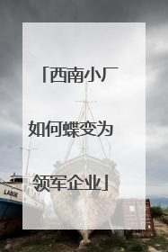 西南小厂如何蝶变为领军企业