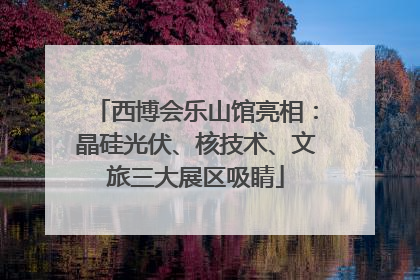 西博会乐山馆亮相：晶硅光伏、核技术、文旅三大展区吸睛