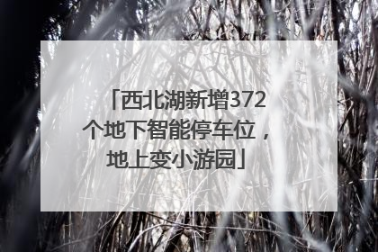 西北湖新增372个地下智能停车位，地上变小游园