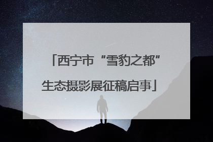西宁市“雪豹之都”生态摄影展征稿启事
