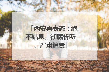 西安再表态：绝不姑息、彻底斩断、严肃追责