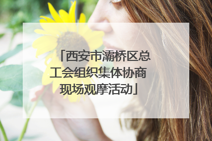 西安市灞桥区总工会组织集体协商现场观摩活动