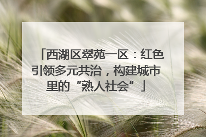 西湖区翠苑一区：红色引领多元共治，构建城市里的“熟人社会”