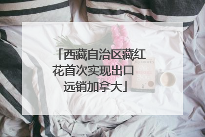 西藏自治区藏红花首次实现出口 远销加拿大
