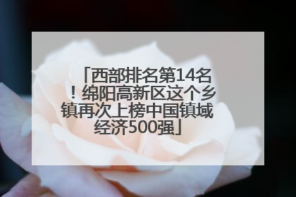 西部排名第14名！绵阳高新区这个乡镇再次上榜中国镇域经济500强