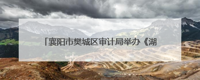 襄阳市樊城区审计局举办《湖北省内部审计条例》宣讲会