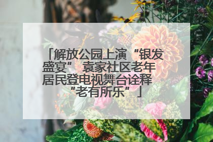 解放公园上演“银发盛宴” 袁家社区老年居民登电视舞台诠释 “老有所乐”