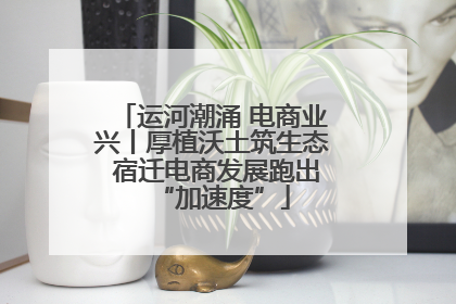 运河潮涌 电商业兴丨厚植沃土筑生态 宿迁电商发展跑出“加速度”